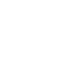 Predictive Analytics